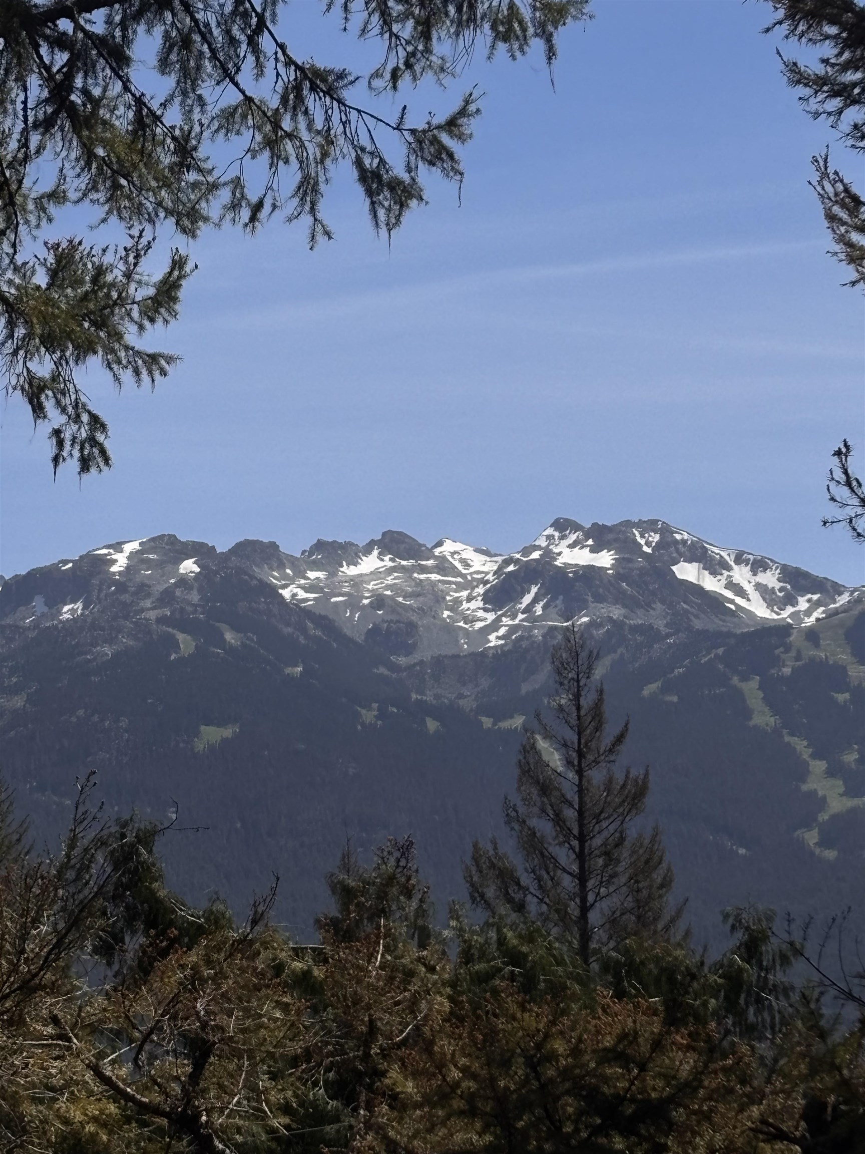 8588 DRIFTER WAY, Whistler BC V8E 0G2, R3147225, BC,