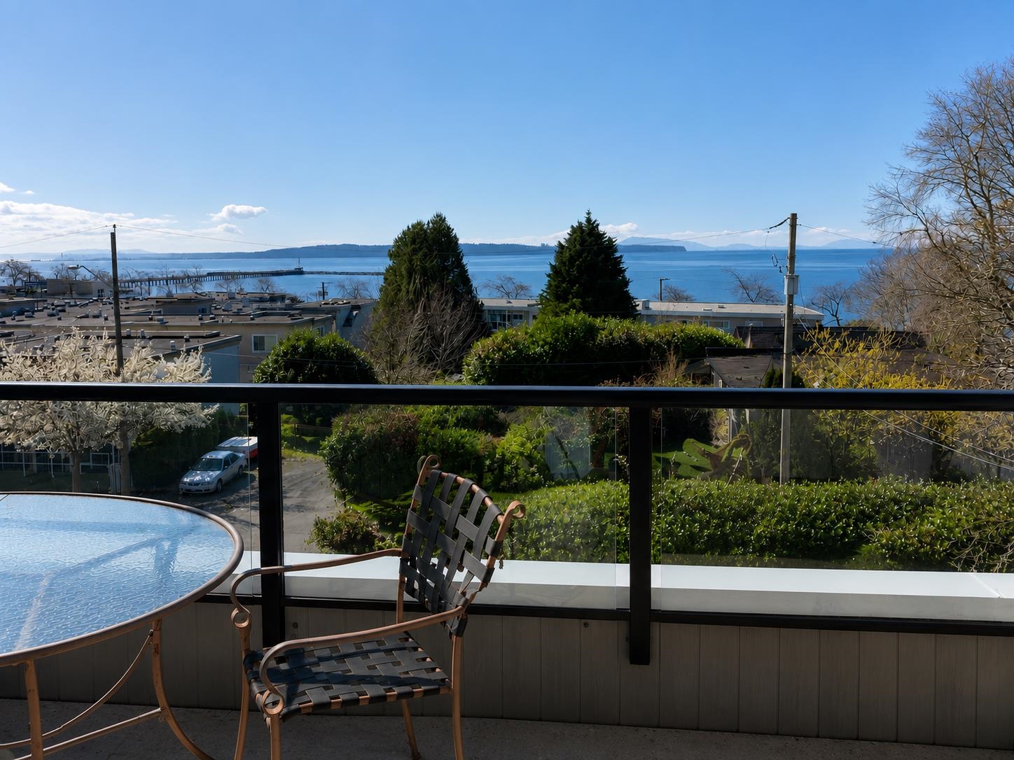 14878 BUENA VISTA AVENUE, White Rock BC V4B 1X4, R3147336, BC,