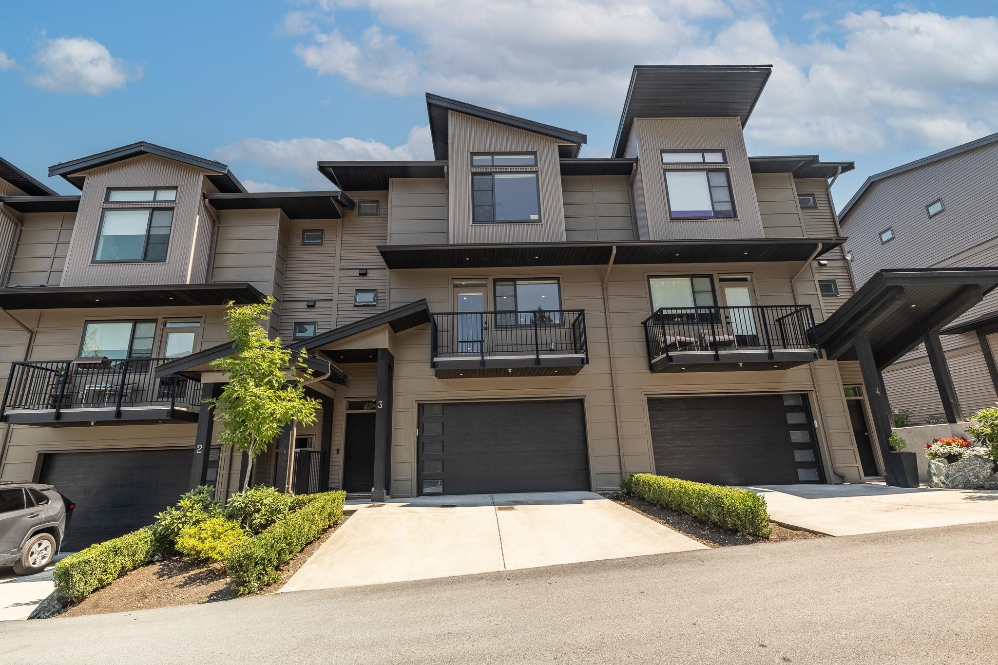 3 43610 CHILLIWACK MOUNTAIN ROAD, R3149653, BC,