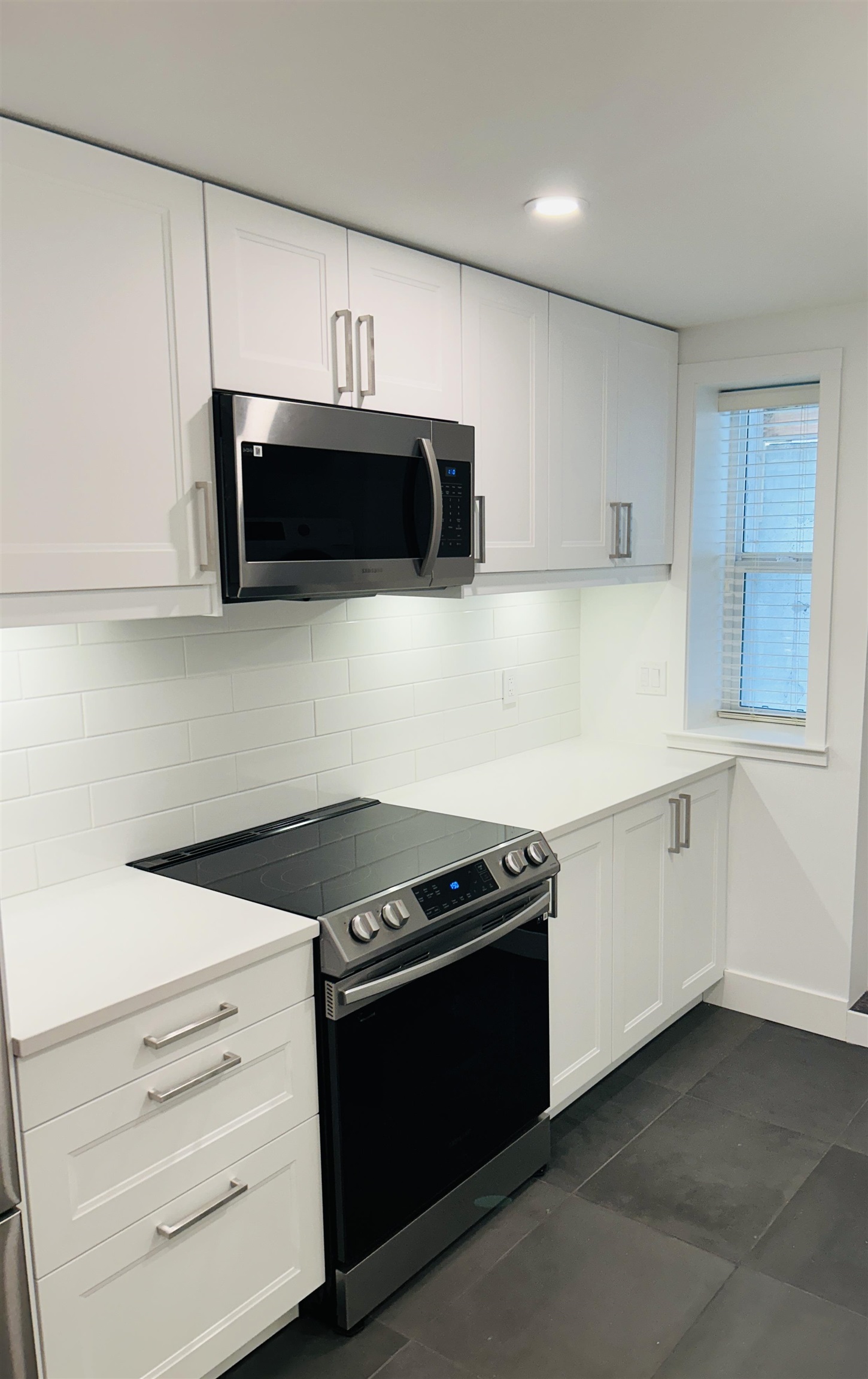 Bsmt Suite-17291 1 AVENUE, Surrey BC V3Z 9R2, R3154009, BC,