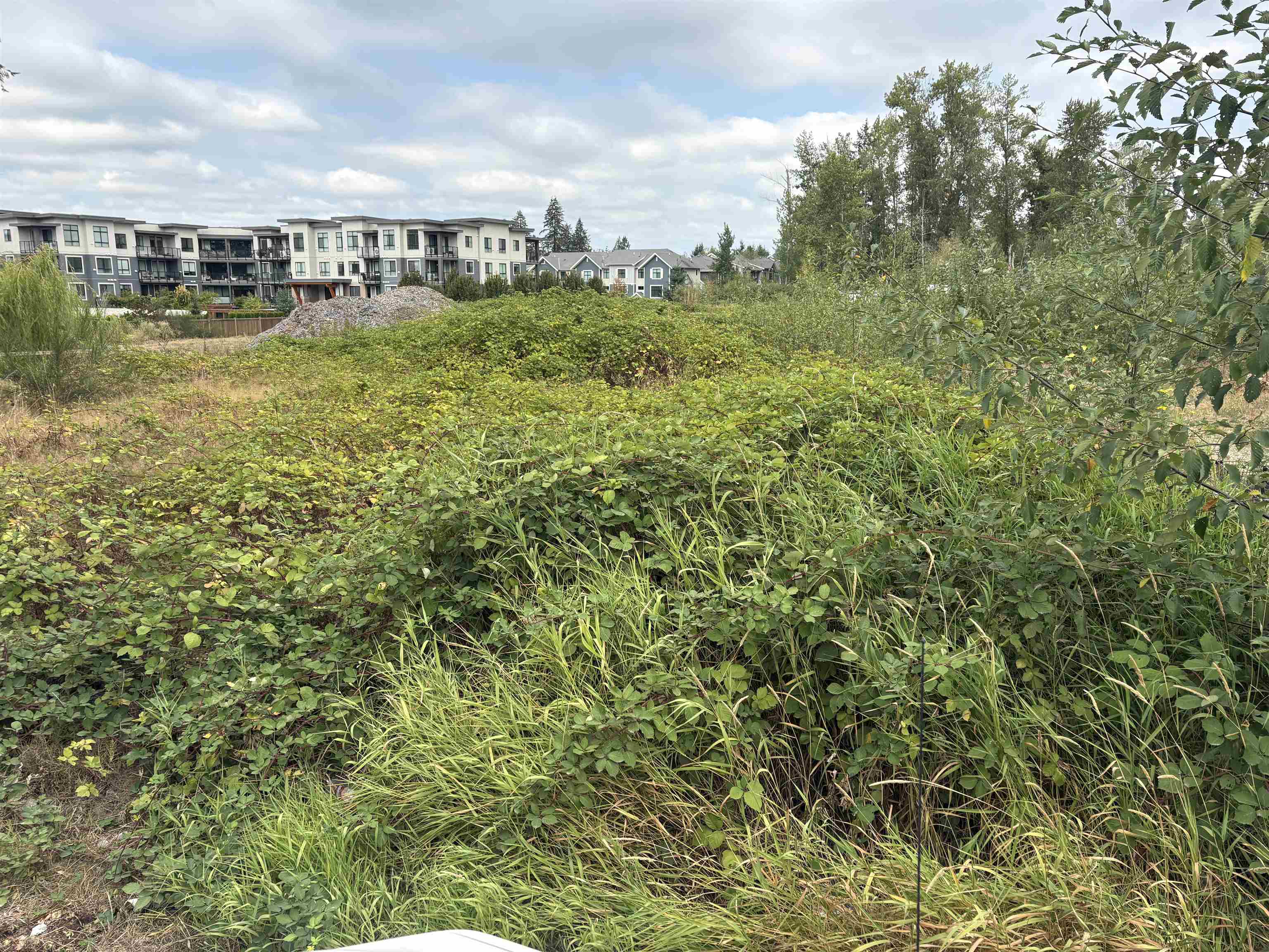 7235 204 STREET, Langley BC V2Y 1B1, R3159096, BC,