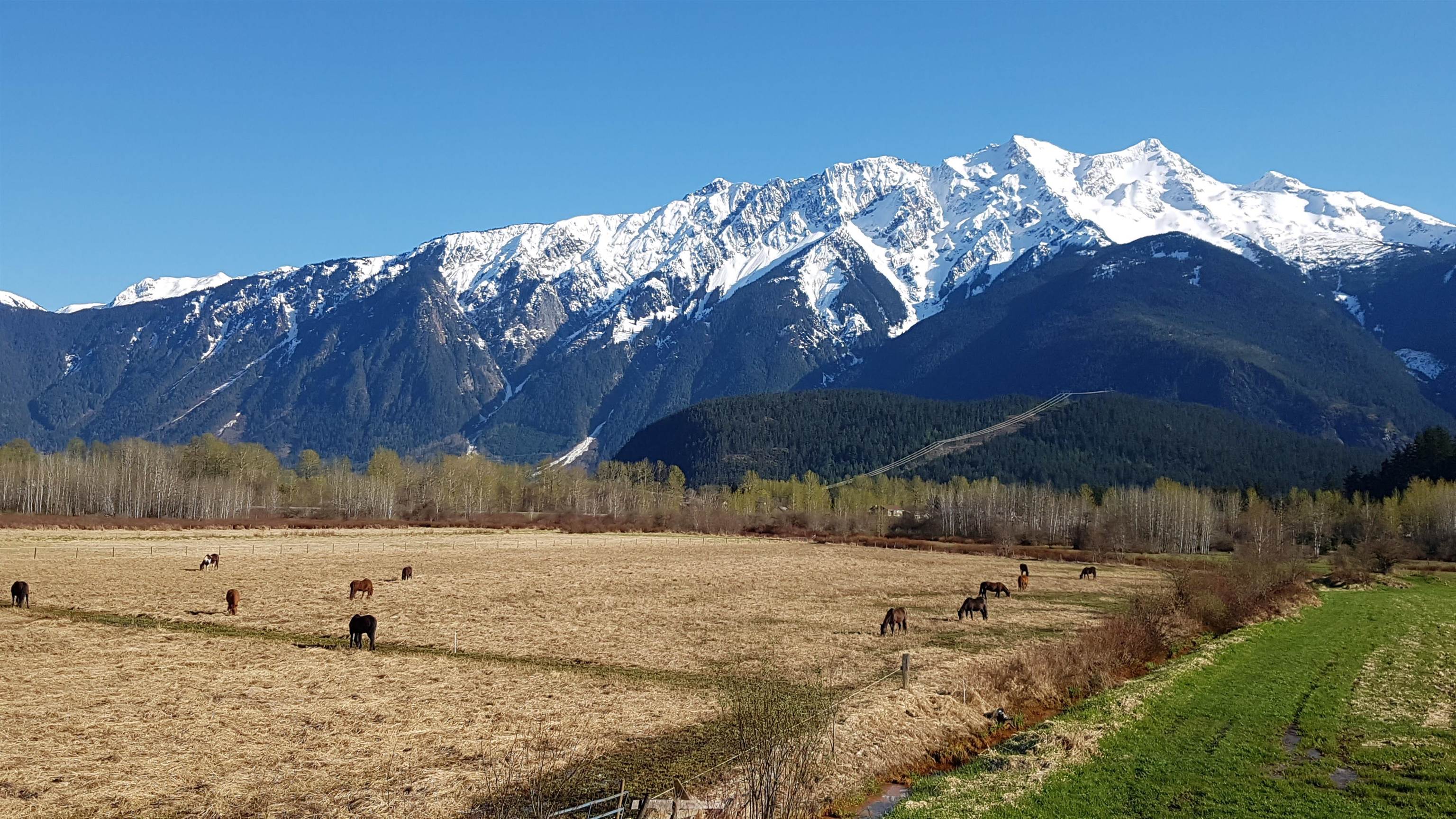 1380 COLLINS ROAD, Pemberton BC V0N 2L1, R3160670, BC,