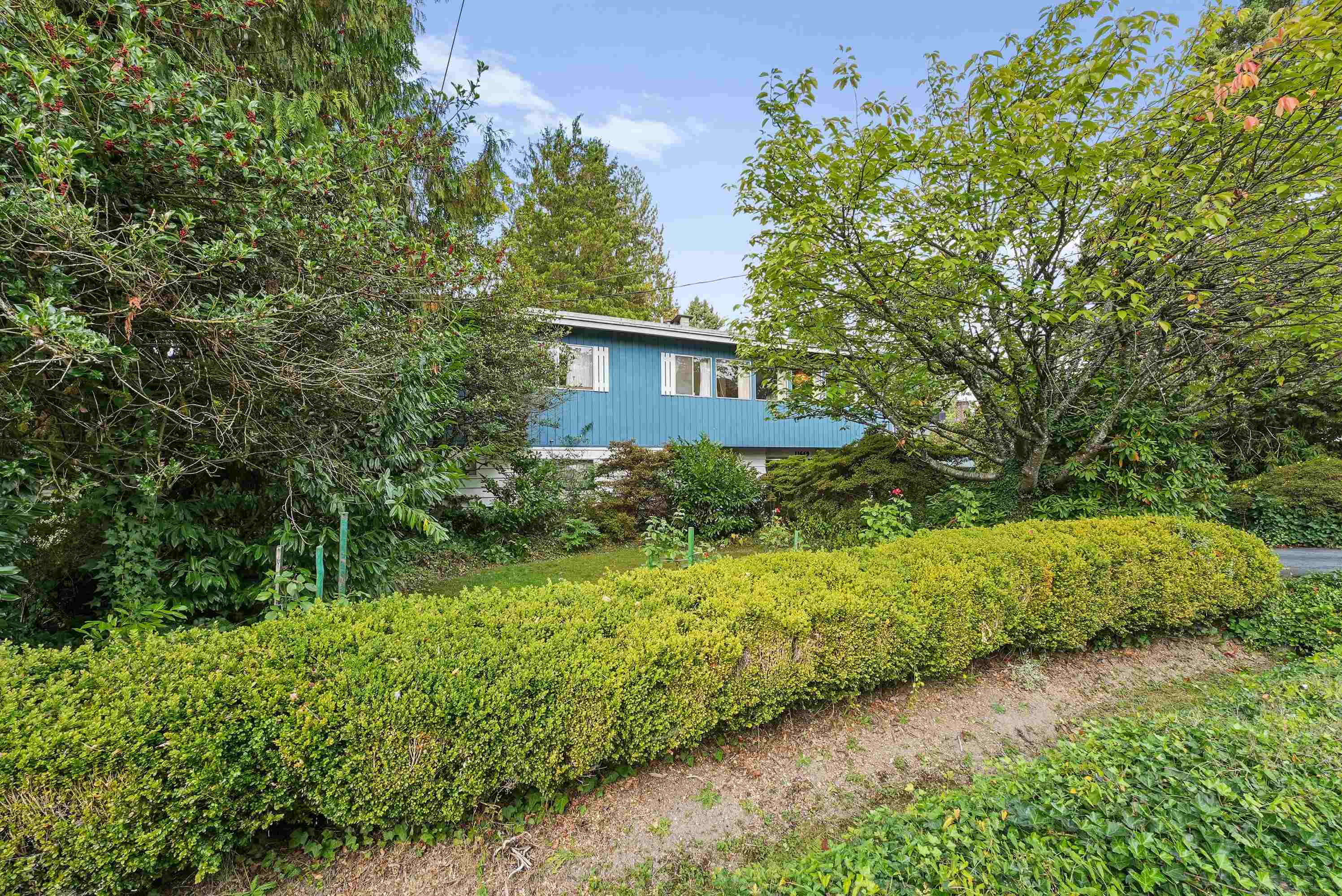 11669 228 STREET, Maple Ridge BC V2X 6L7, R3164697, BC,