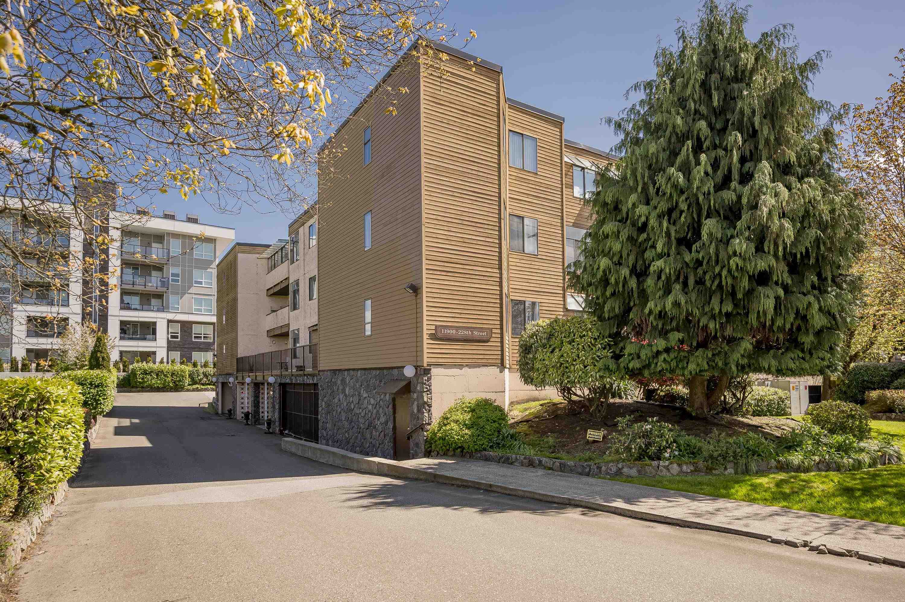 32 11900 228 STREET, R3167739, BC,