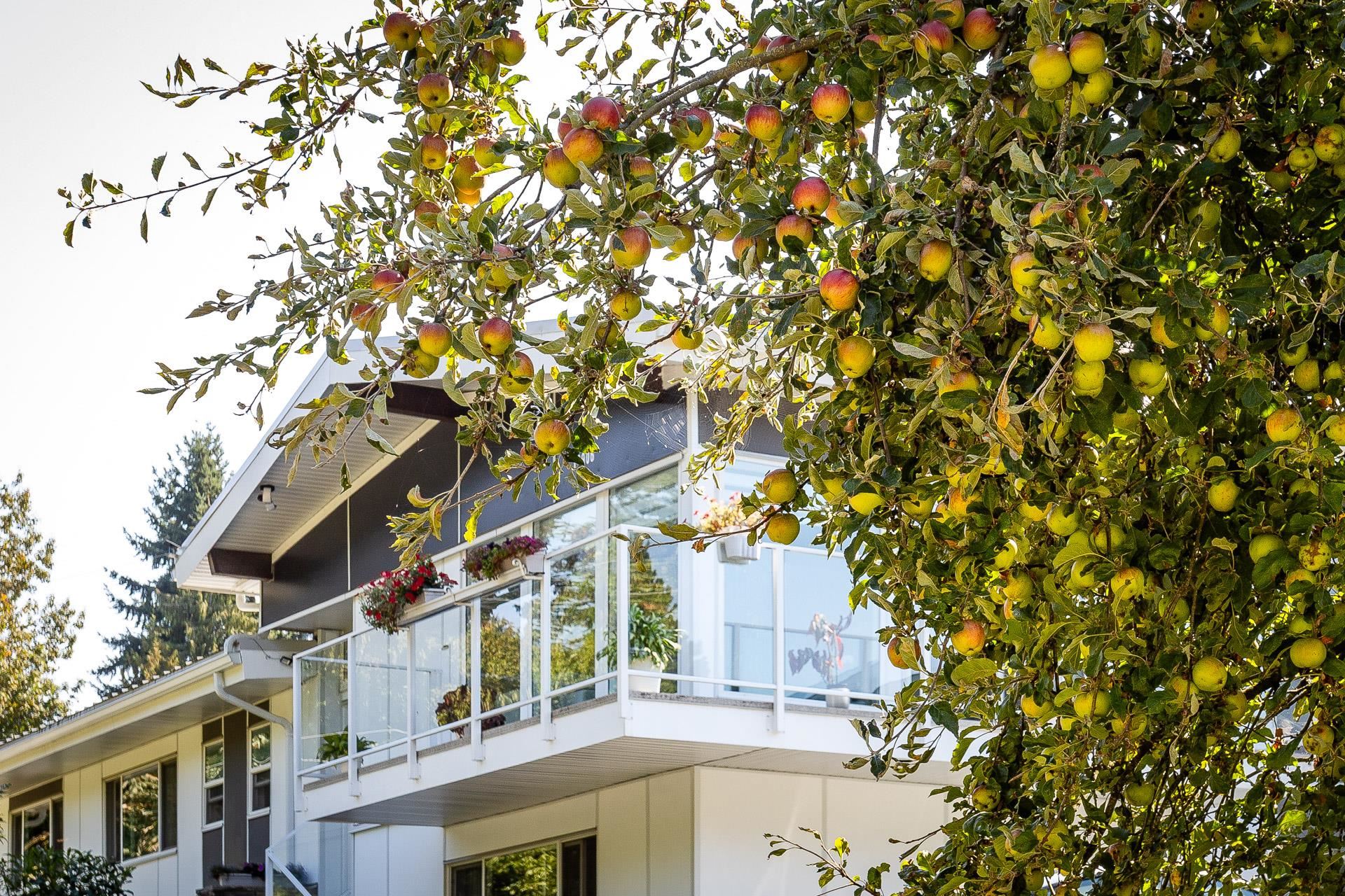11906 100 AVENUE, Surrey BC V3V 2W1, R3168783, BC,