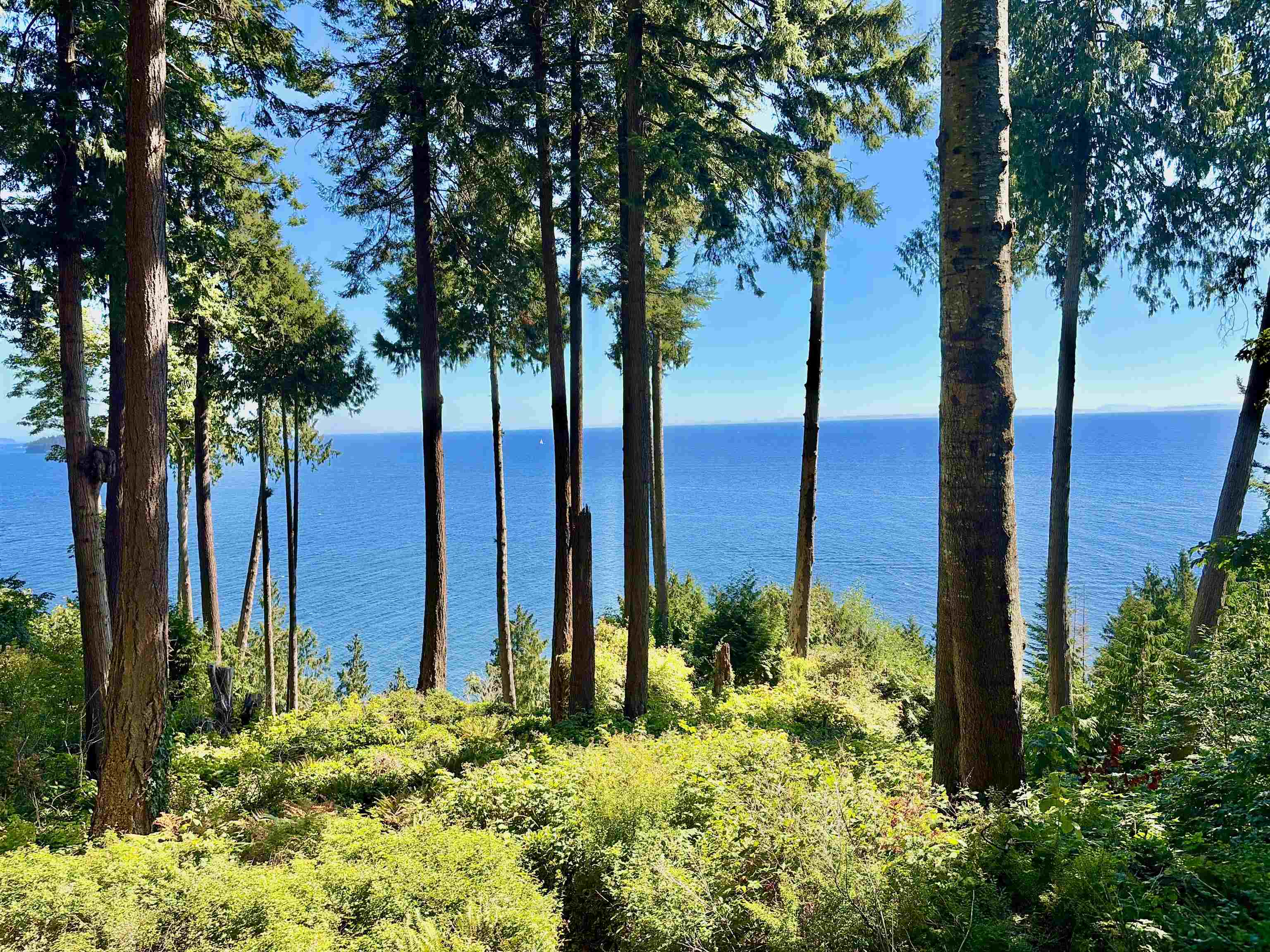 61/Lot3 LARSON ROAD, Gibsons BC V0N 1V3, R3169694, BC,