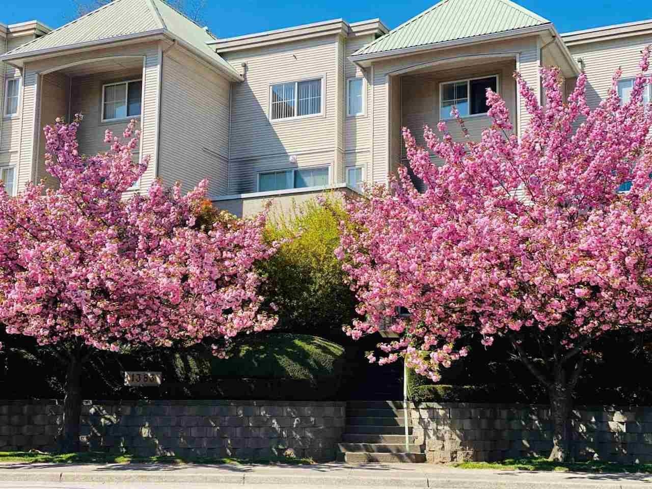 2 1383 BRUNETTE AVENUE, R3171198, BC,