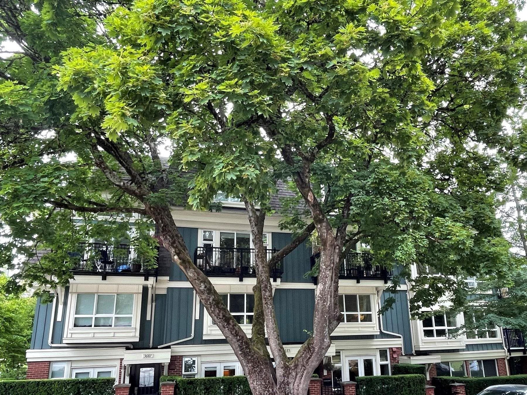 3685 W 12TH AVENUE, R3174193, BC,