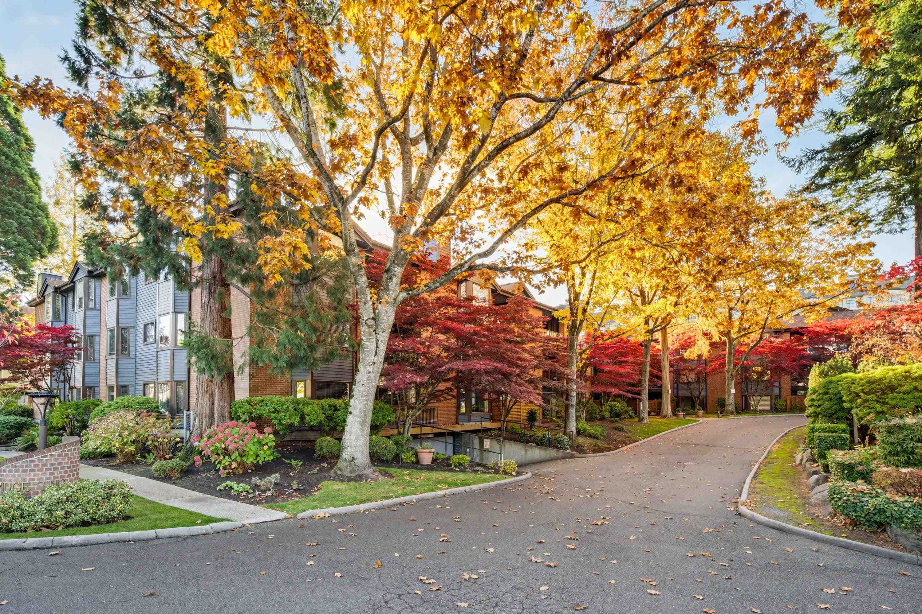 MLS® listing #R3176396 for sale located at 206 15300 17 AVENUE