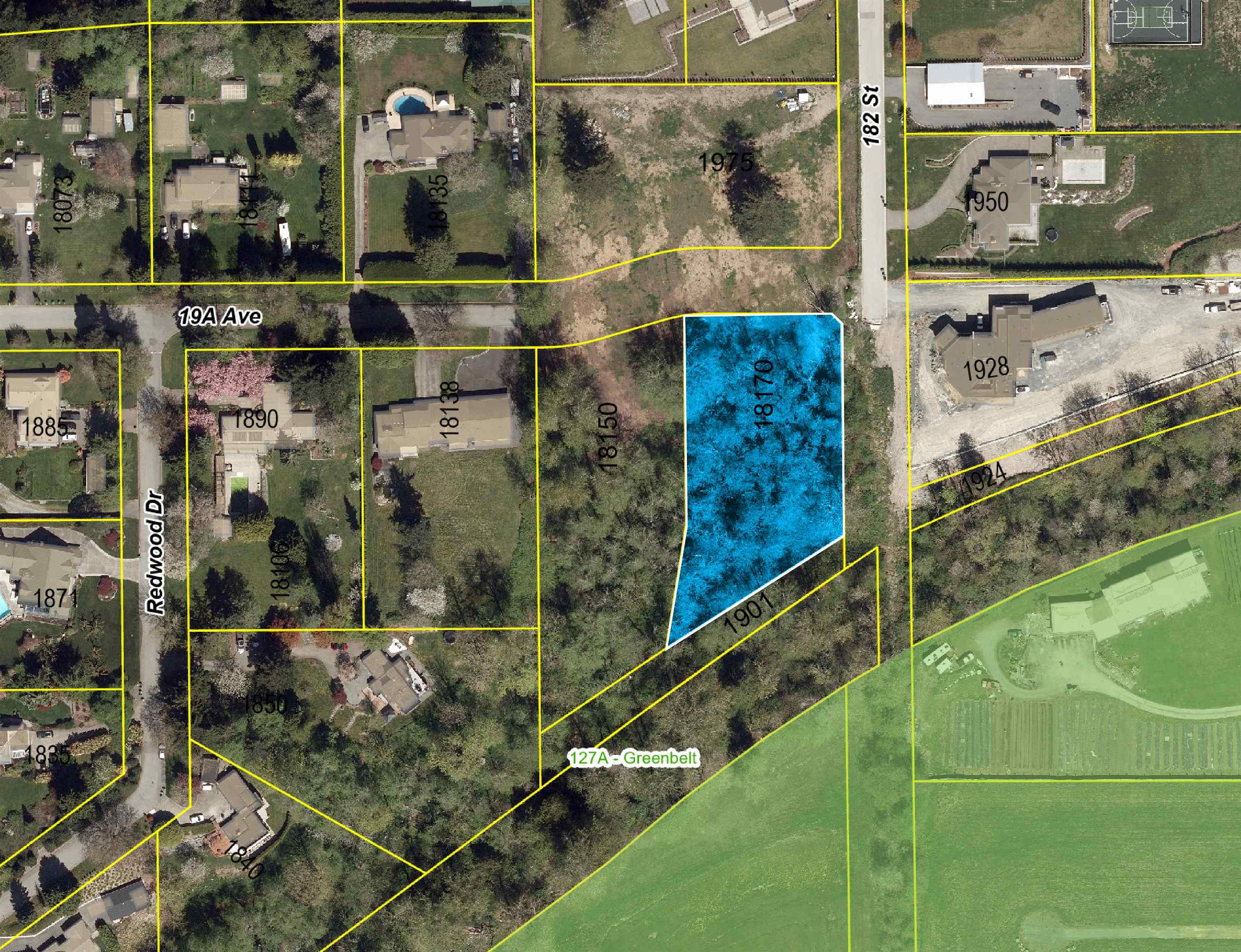 18170 19A AVENUE, Surrey BC V0V 0V0, R3176488, BC,