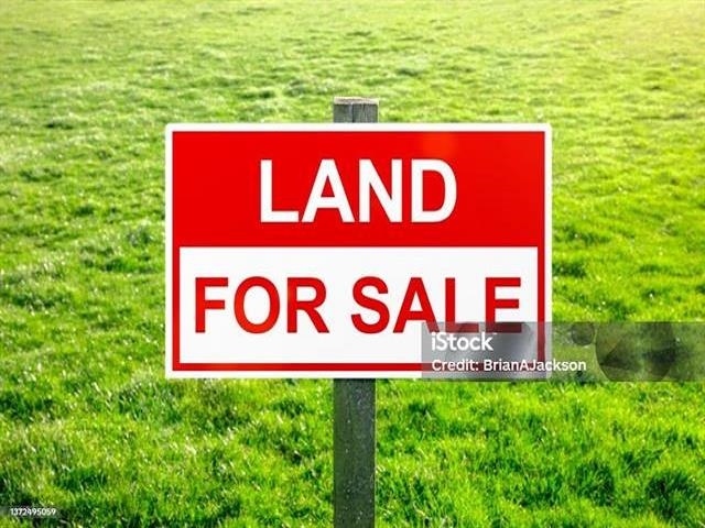33685 BOWIE DRIVE, Mission BC V2V 6Y4, R3177402, BC,