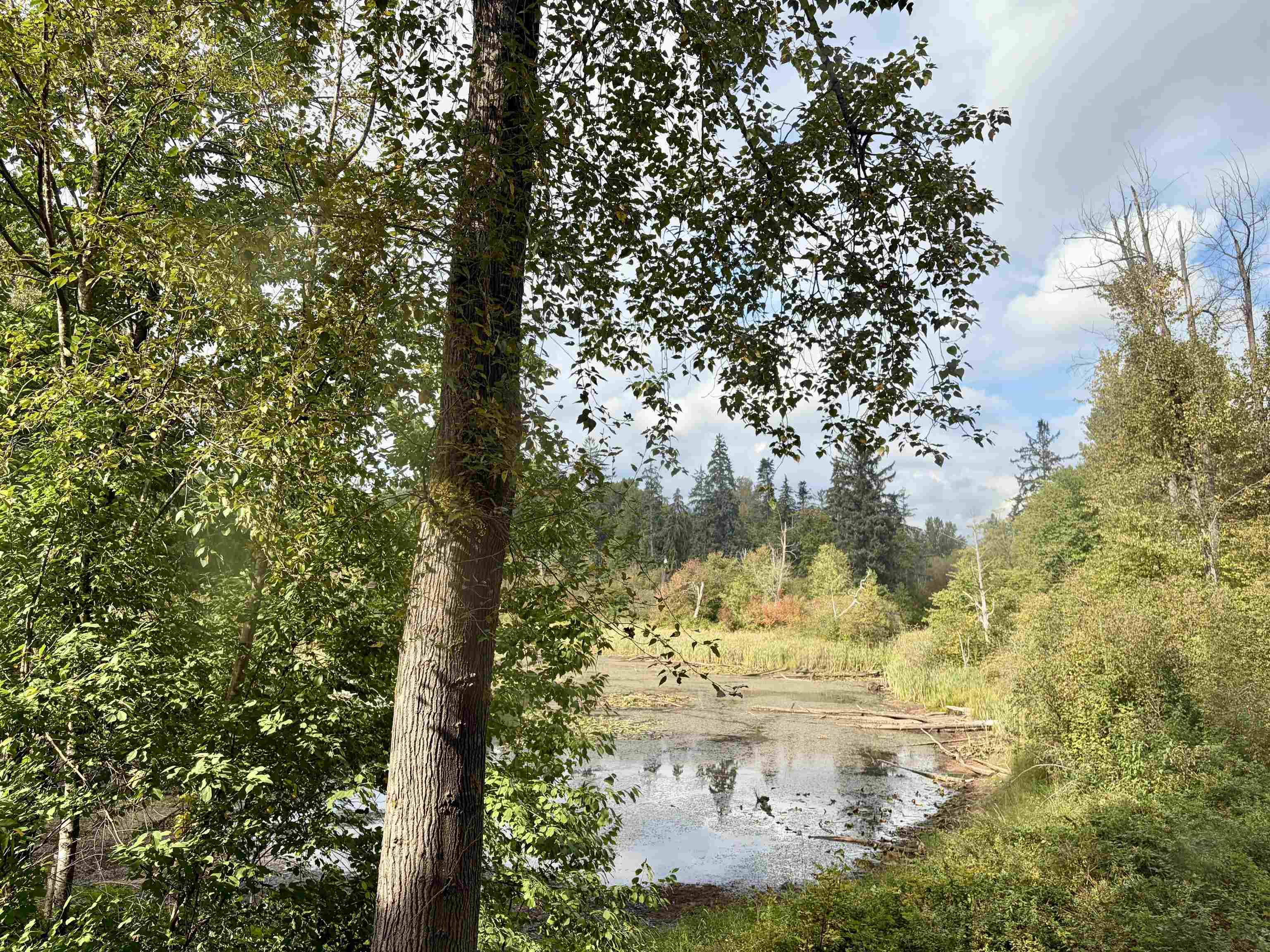 217 2551 PARKVIEW LANE, R3177776, BC,