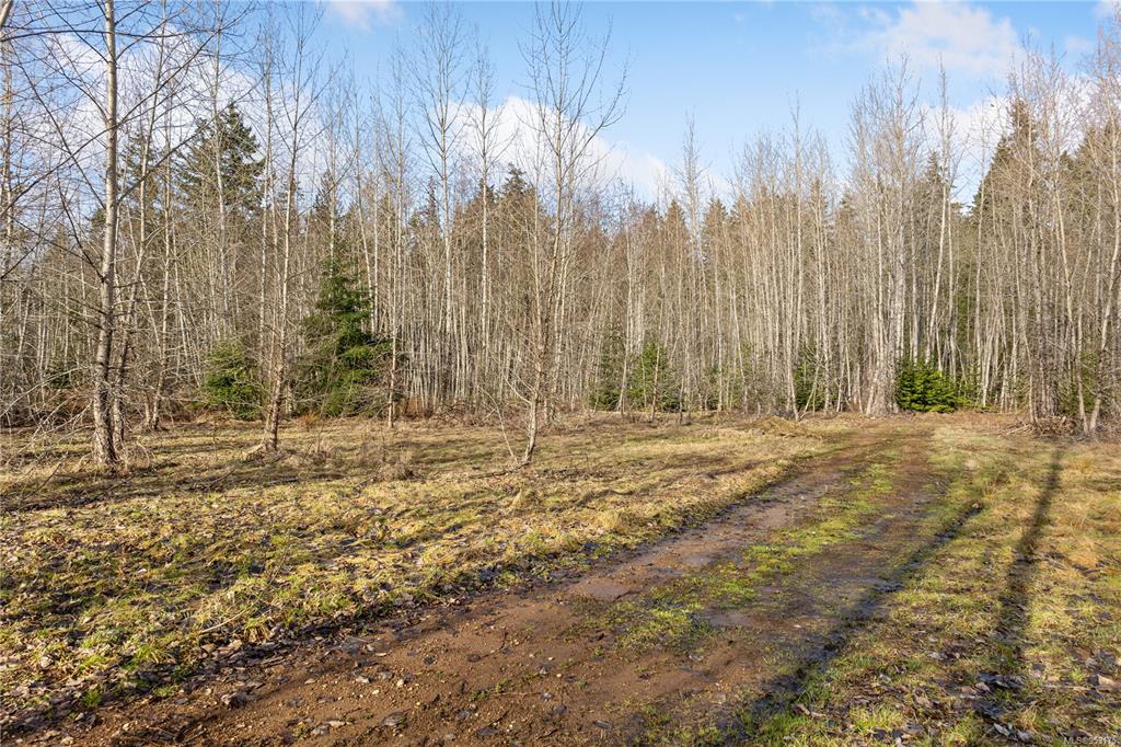 Third View of 2745 Shaver Rd, Coombs, BC, V9K 1Y3