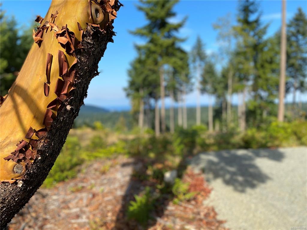 Second View of Lt 4 Spruce Ave, Gabriola Island, BC, V0R 1X3