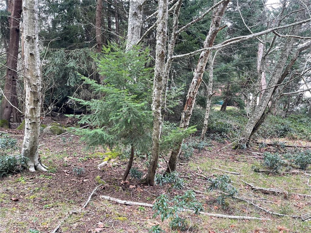 Fifth View of Lot 102 Sockeye Dr, Mudge Island, BC, V0A 0A0