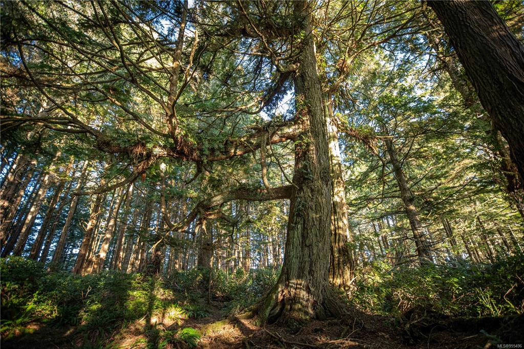 0 Francis Island, 955496, BC,