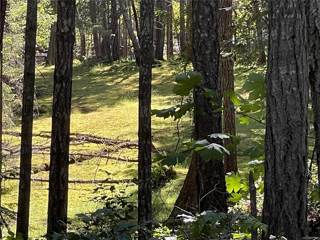 Lot 2 Driftwood Dr, 965720, BC,