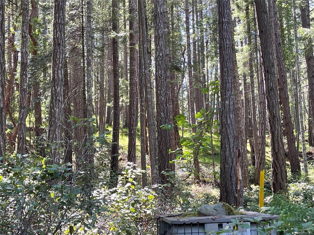 Fifth View of Lot 2 Driftwood Dr, Mudge Island, BC, V0R 1X0