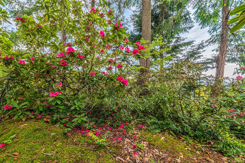 Fifth View of 1241 Okanagan Pl, Nanaimo, BC, V9R 5Z5