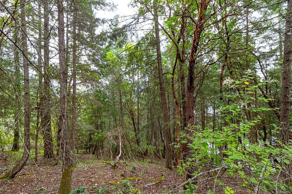 Fourth View of Lot 13 Birds Eye Dr, Duncan, BC, V9L 5Y2