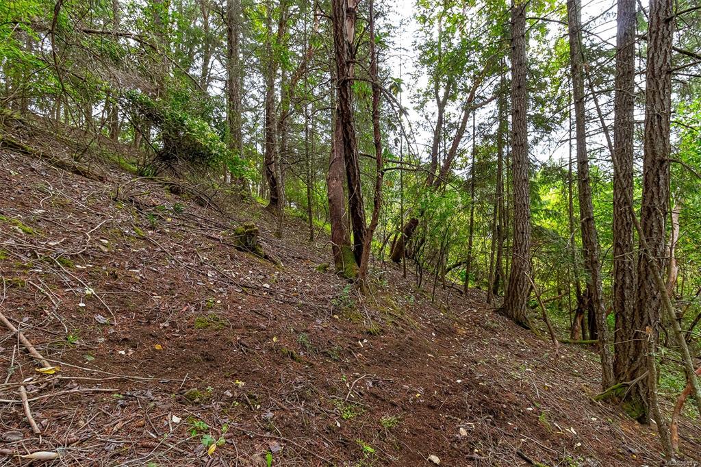 Fifth View of Lot 13 Birds Eye Dr, Duncan, BC, V9L 5Y2