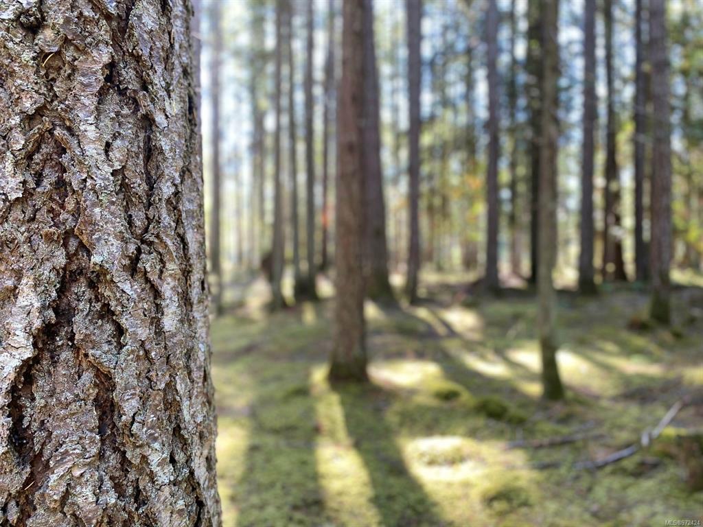 Fifth View of Lt 4 Sitka Grove, Gabriola Island, BC, V0R 1X1