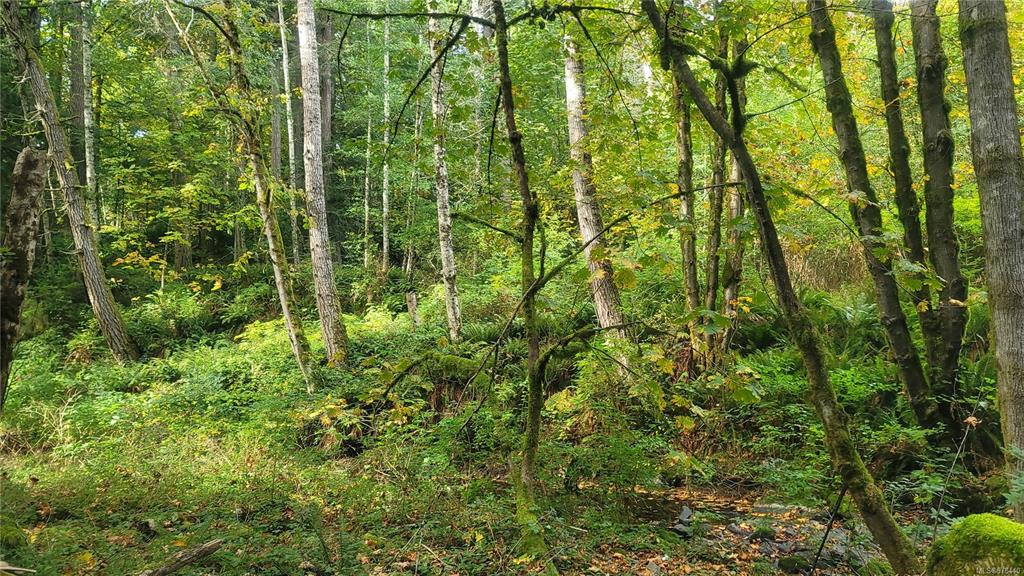 Fifth View of 3025 Manzer Rd, Sooke, BC, V9Z 0C9