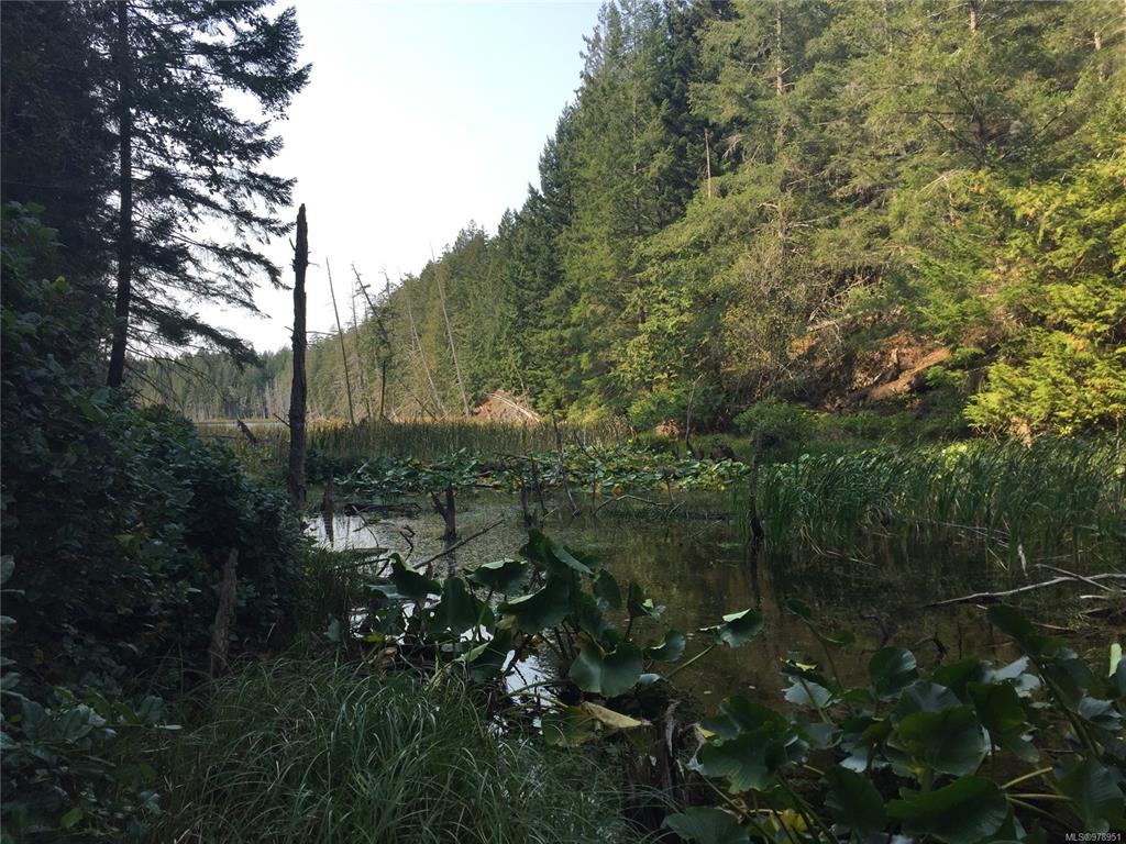 Main View of 0 Trematon Lake, Lasqueti Island, BC, V0R 2J0