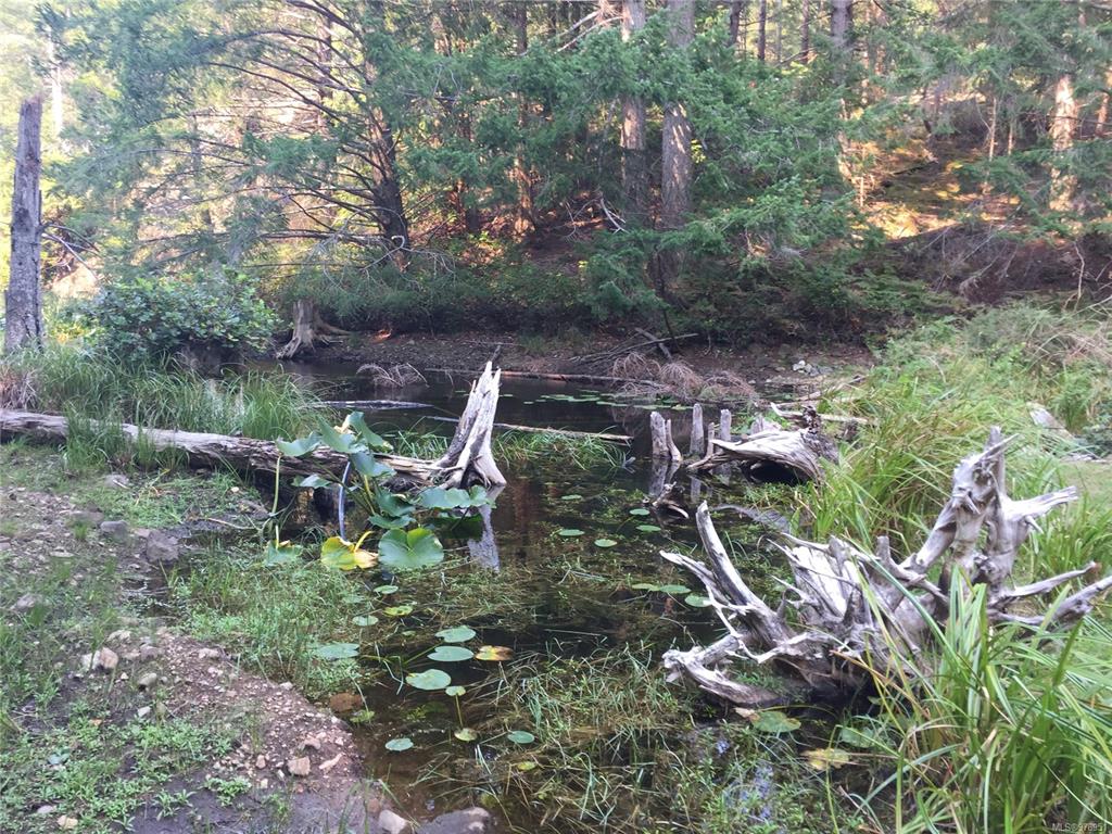 Third View of 0 Trematon Lake, Lasqueti Island, BC, V0R 2J0