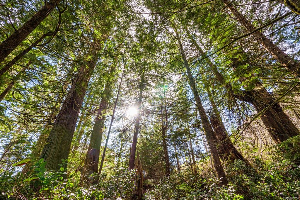 Third View of 1198 Front St, Ucluelet, BC, V0R 3A0
