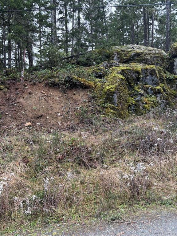 Lt 9 Trailhead Lane, 981500, BC,
