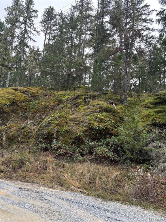 Third View of Lt 9 Trailhead Lane, MALAHAT FOREST, Shawnigan Lake, BC, V0R 2W3