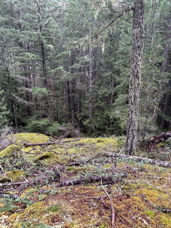 Fourth View of Lt 9 Trailhead Lane, MALAHAT FOREST, Shawnigan Lake, BC, V0R 2W3