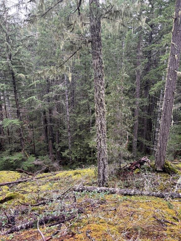 Fifth View of Lt 9 Trailhead Lane, MALAHAT FOREST, Shawnigan Lake, BC, V0R 2W3