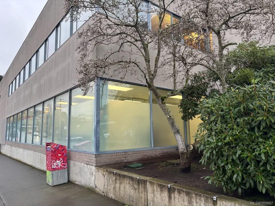 Fifth View of 619 Discovery St, Victoria, BC, V8T 5G4