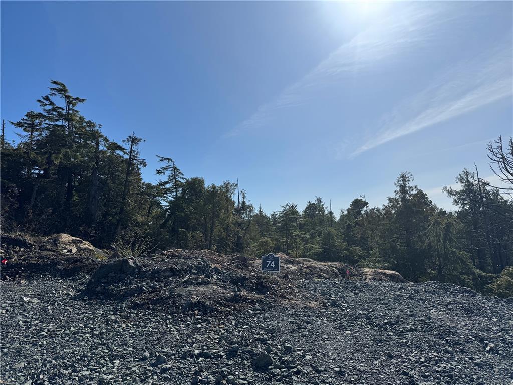 Lot 74 Forbes Rd, 991420, BC,
