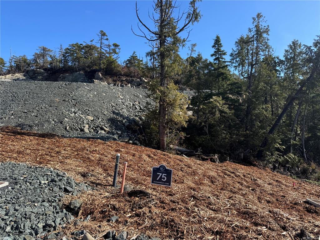 Second View of Lot 75 Forbes Rd, Ucluelet, BC, V0R 3A0