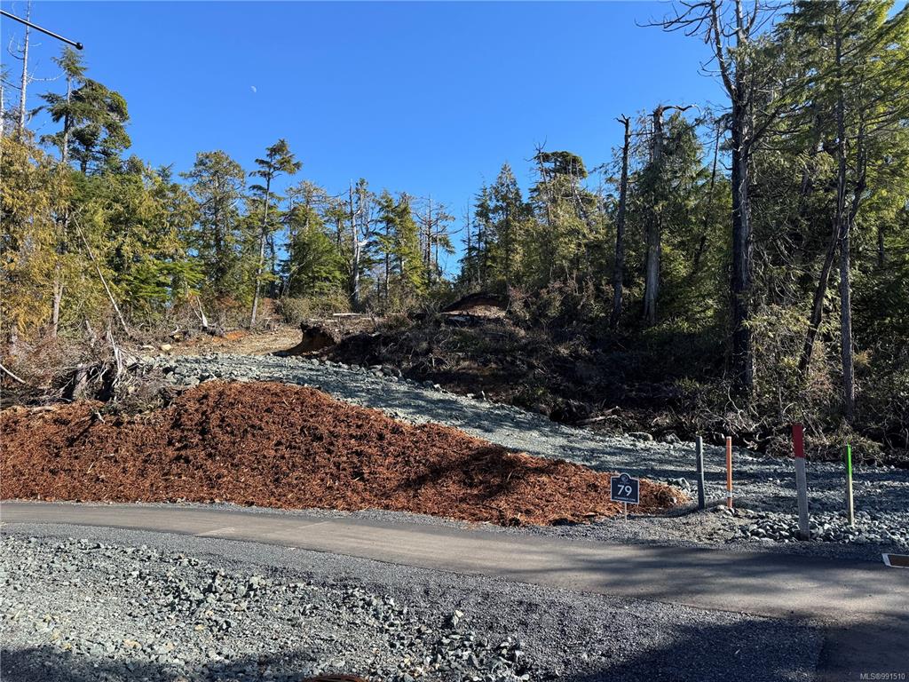 Second View of Lot 79 Forbes Rd, Ucluelet, BC, V0R 3A0