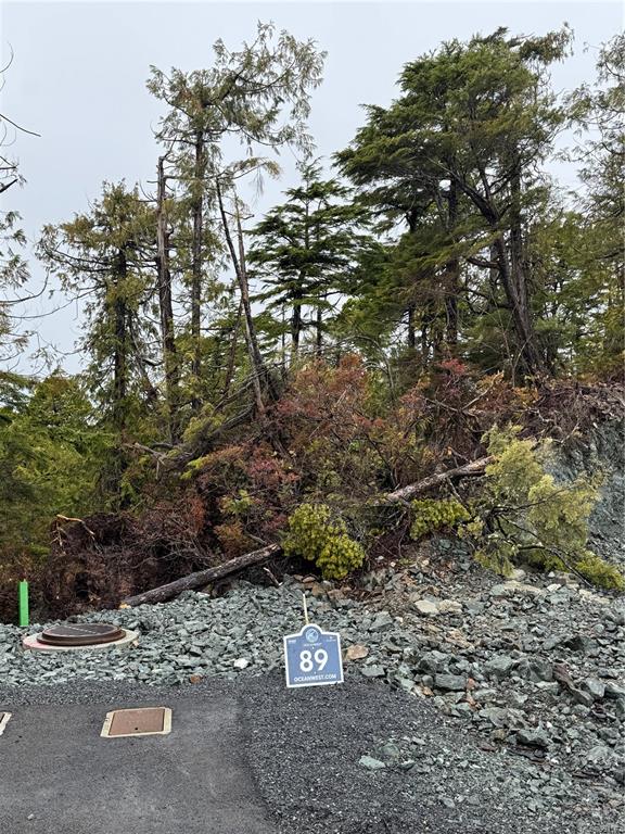 Lot 89 Shore Pine Dr, 991582, BC,