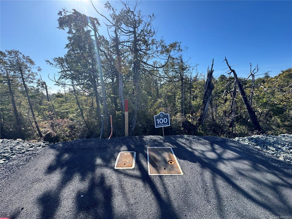 Lot 100 Sitka Pl, 991667, BC,