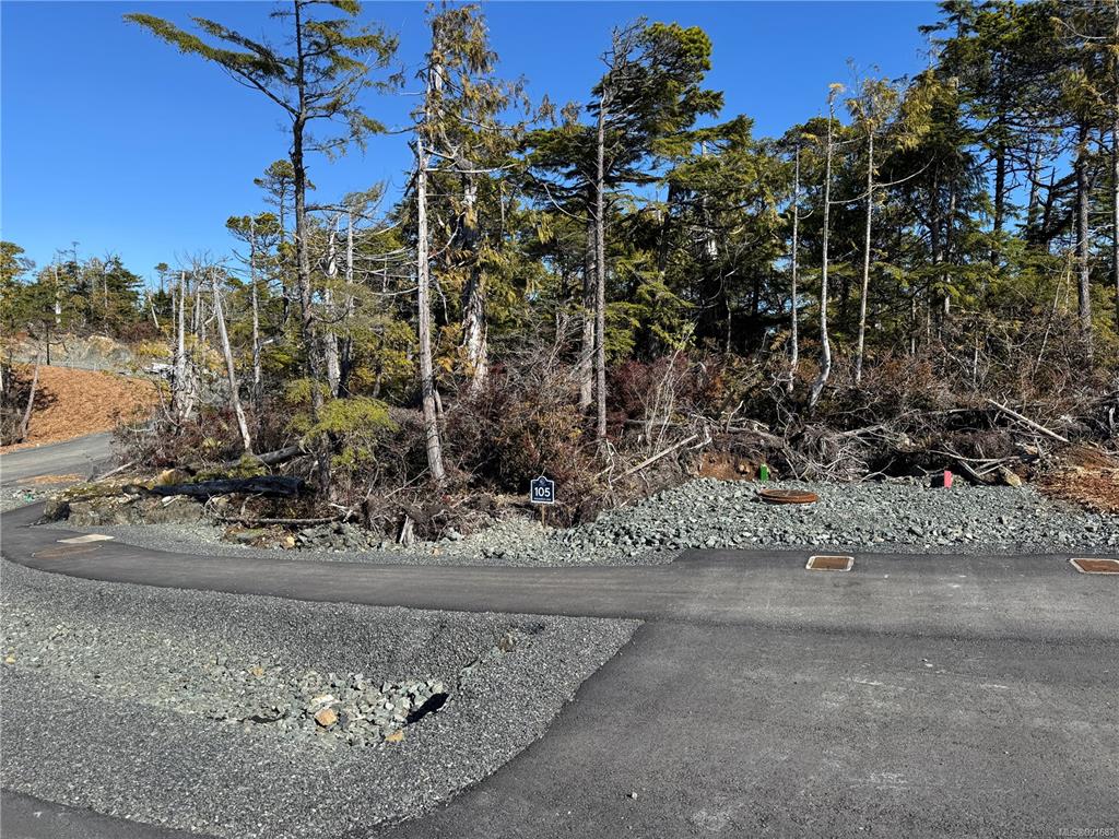 Lot 105 Sitka Pl, 991683, BC,