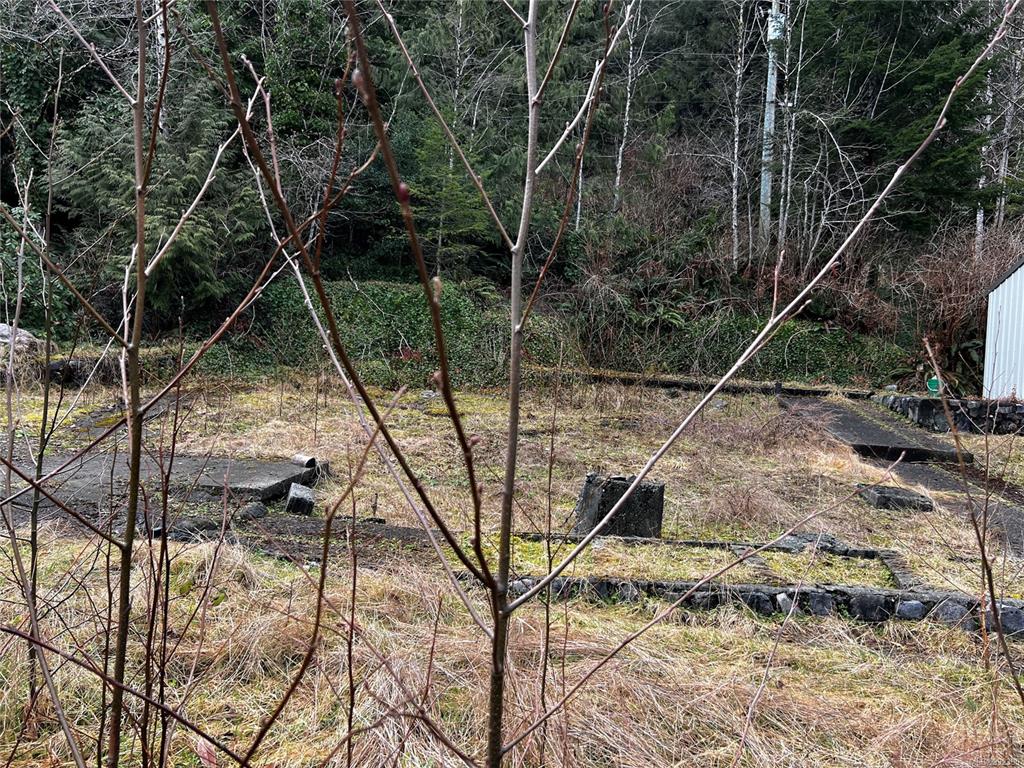 Fifth View of 854 Maquinna Dr S, Tahsis, BC, V0P 1X0