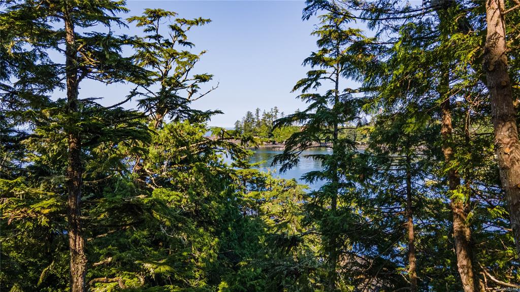 Fifth View of 392 Reef Point Rd, Ucluelet, BC, V0R 3A0