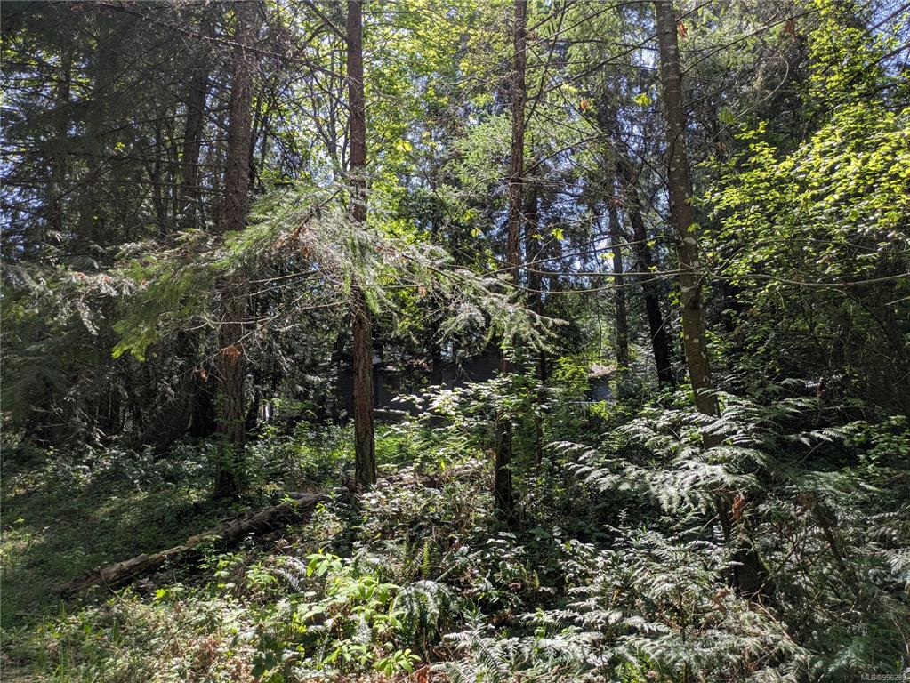 35 Captain Morgans Blvd, 996289, BC,