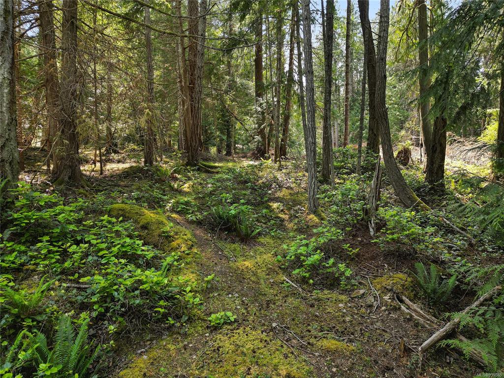 568 Aya Reach Rd, 999885, BC,