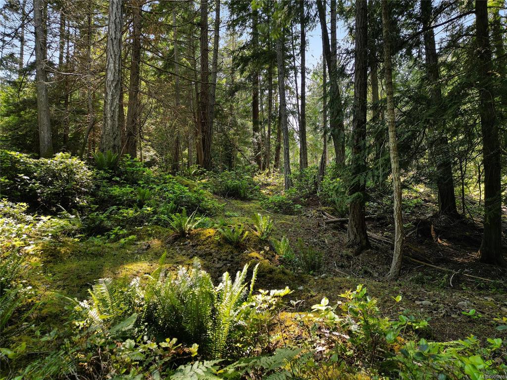 Fourth View of 568 Aya Reach Rd, Mayne Island, BC, V0N 2J1