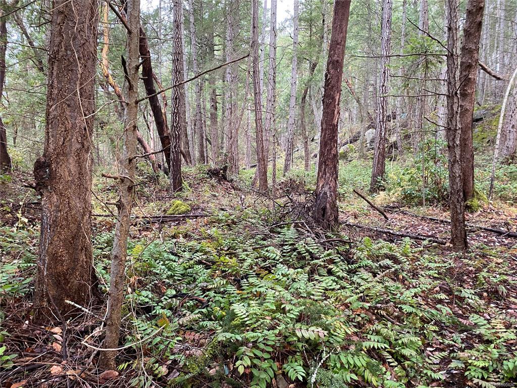 Lot 18 Ruxton, 1000426, BC,