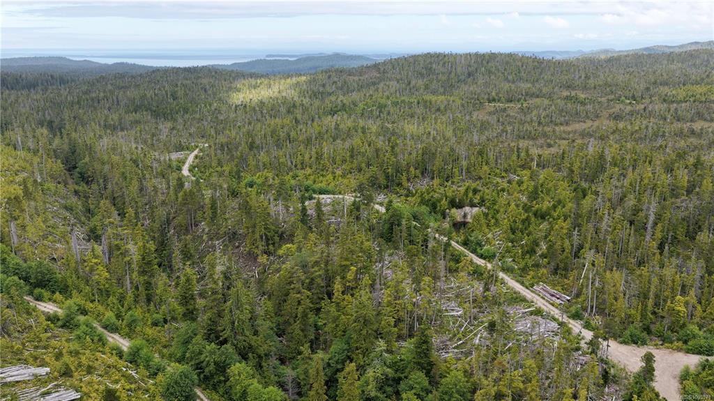 Fourth View of 10 Cape Sutil Holberg Off Hwy, Port Hardy, BC, V0N 2P0