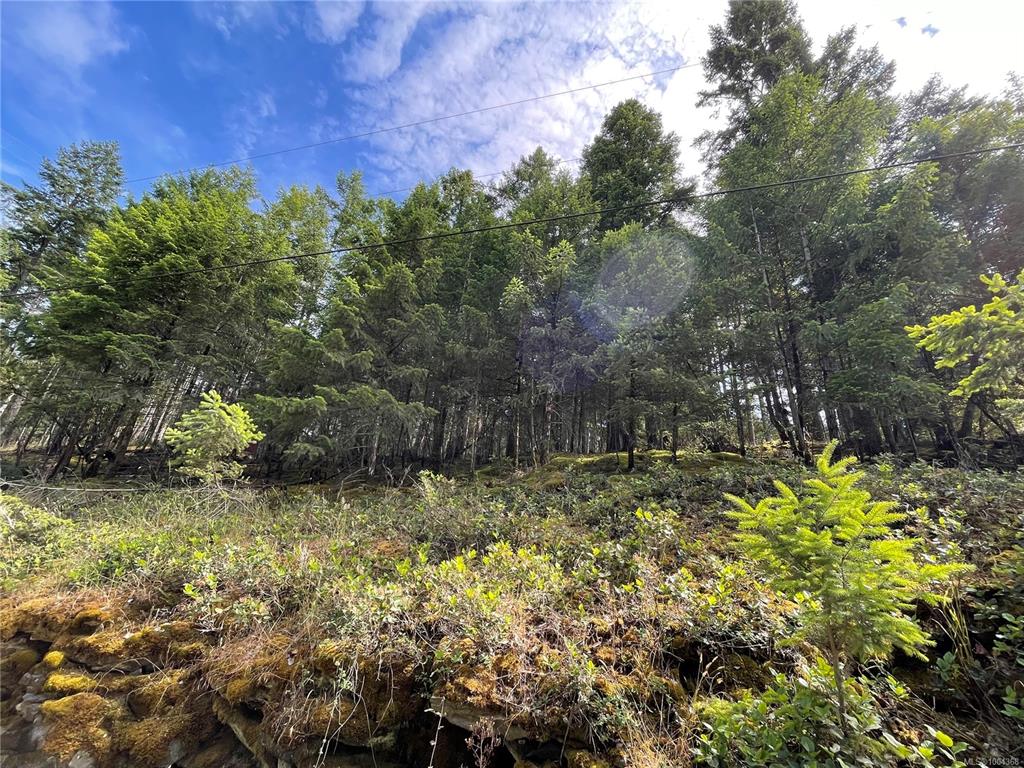 Second View of Lot 141 Coho Blvd, Mudge Island, BC, V1V 1V1