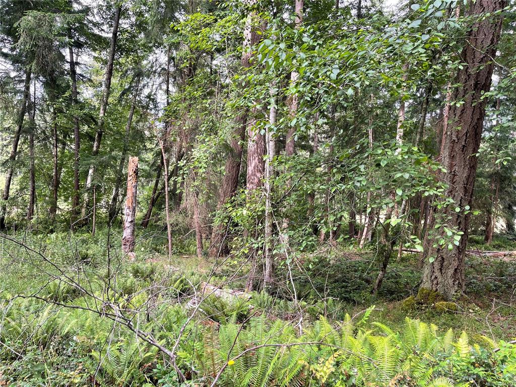 Third View of Lot 17 Apple Orchard Way, Mudge Island, BC, V1V 1V1